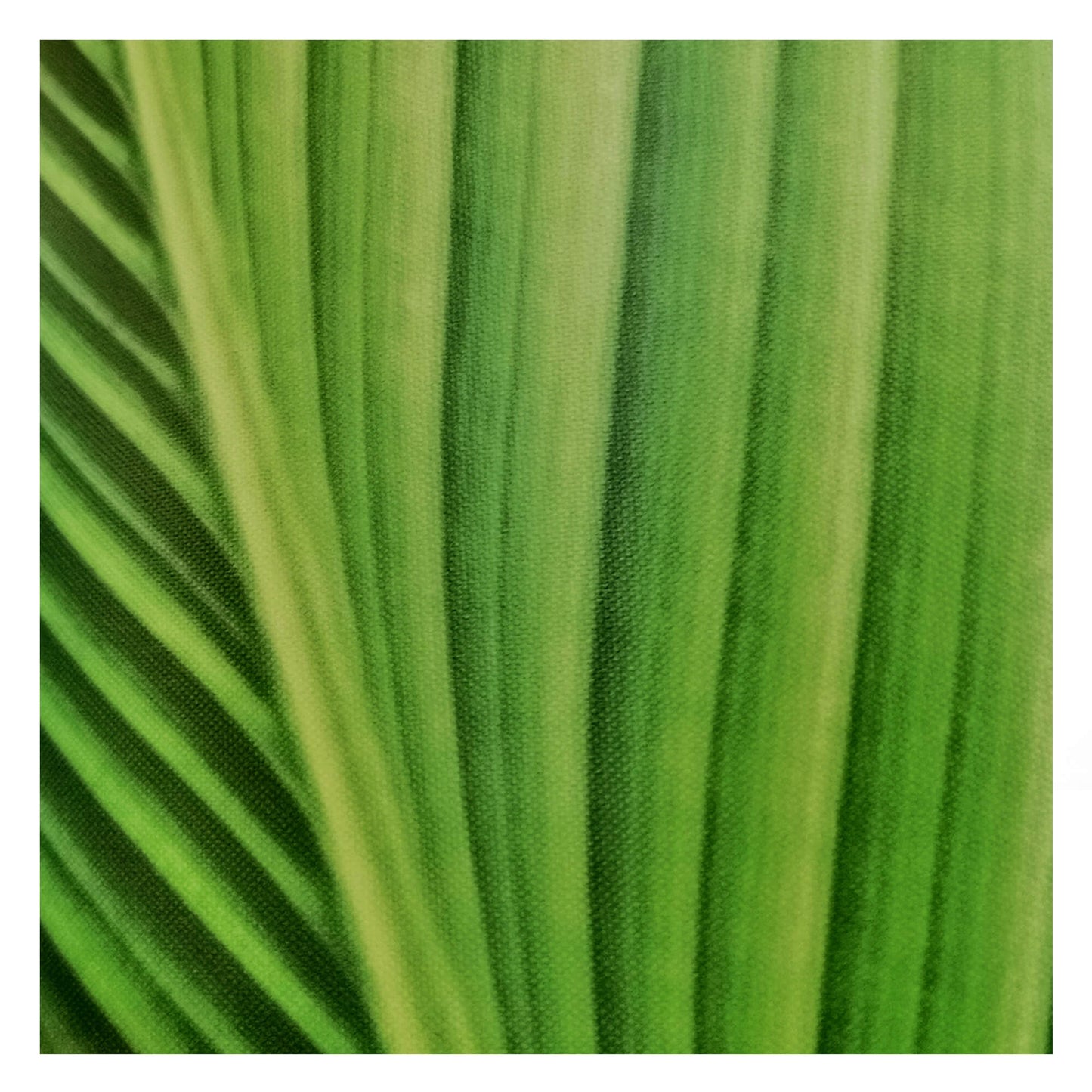 コーン ビッグ ランプ