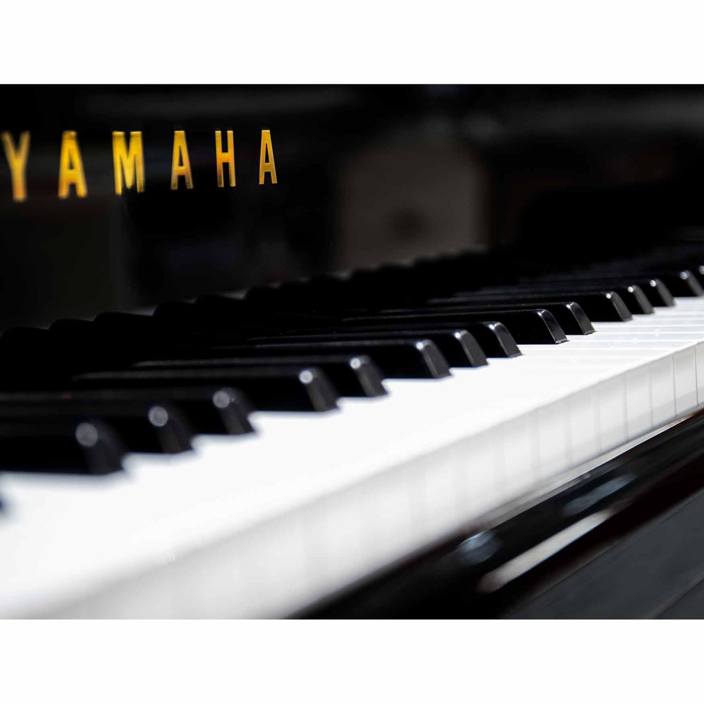 FILIGREE GRAND PIANO - ピアノ