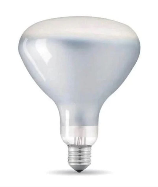 RF32366 LEDランプ 12W E27 220-240V 2700K R125